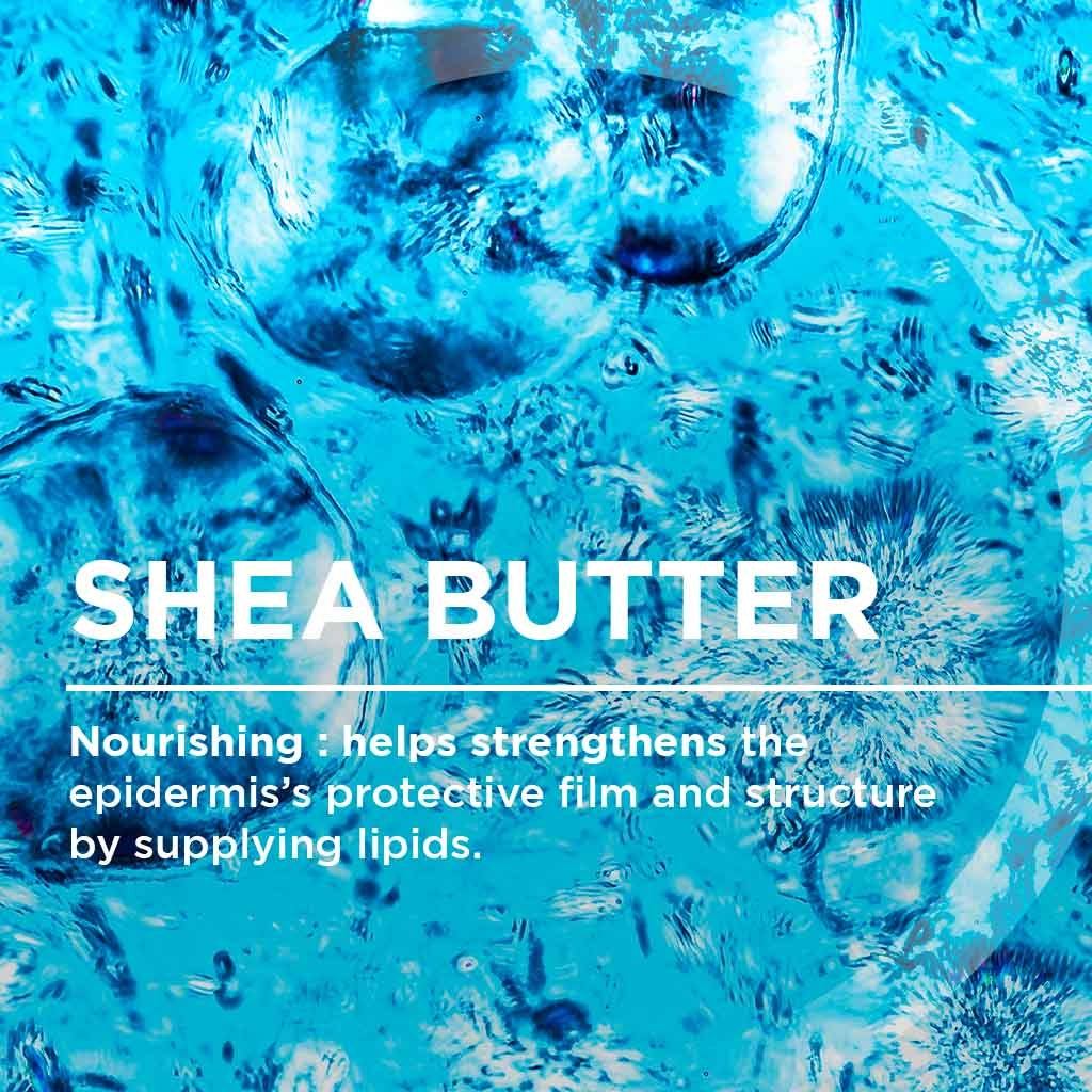 Bioderma Atoderm, key ingredient: shea butter