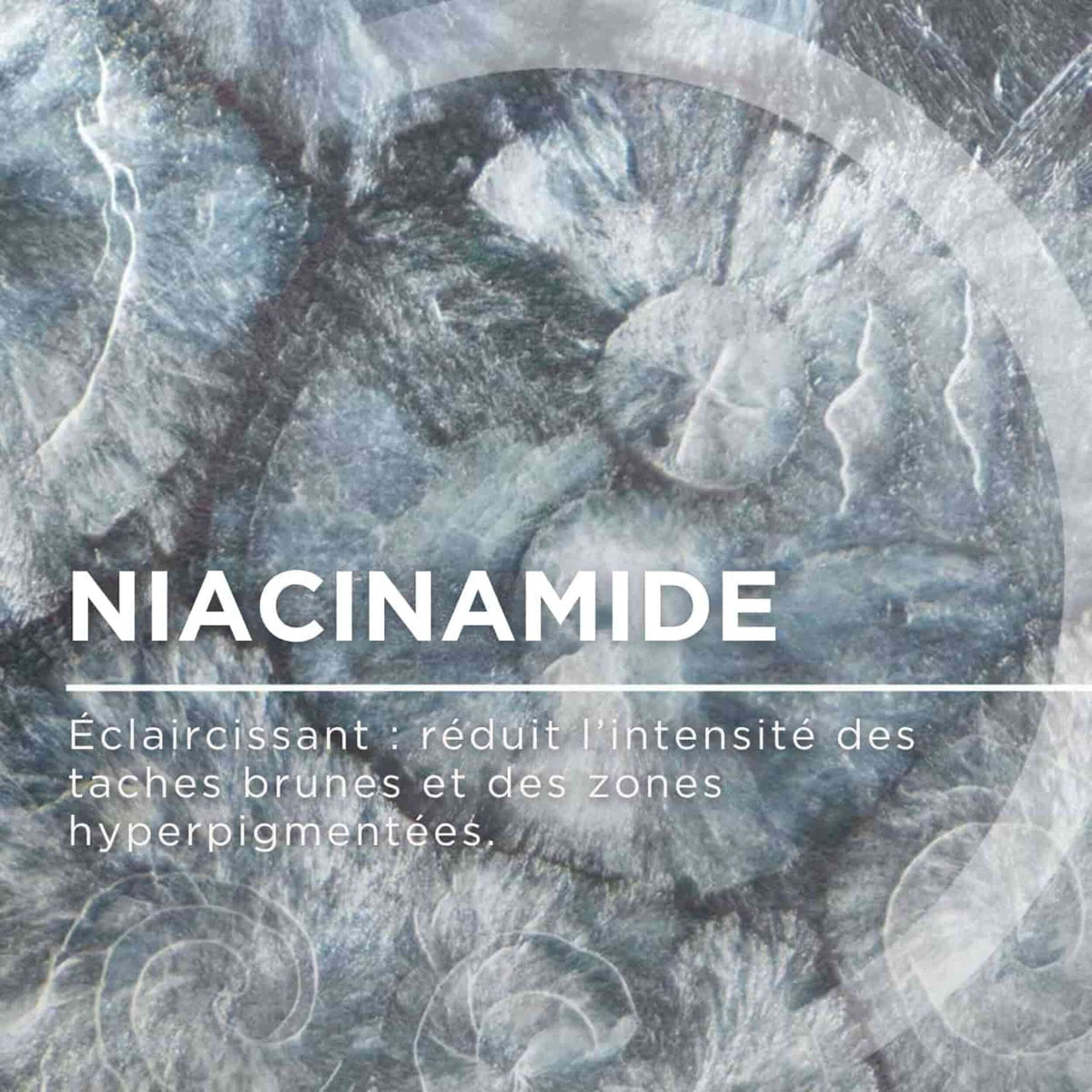 Bioderma PigmentBio C-Concentrate, niacinamide infographic in French