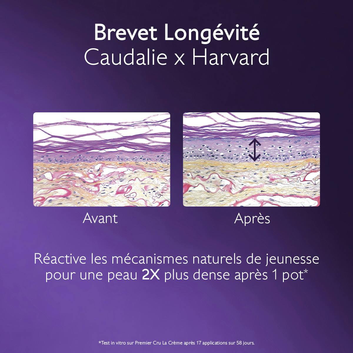 Caudalie Premier Cru, Caudalie x Harvard patent infographic with skin cross-sections