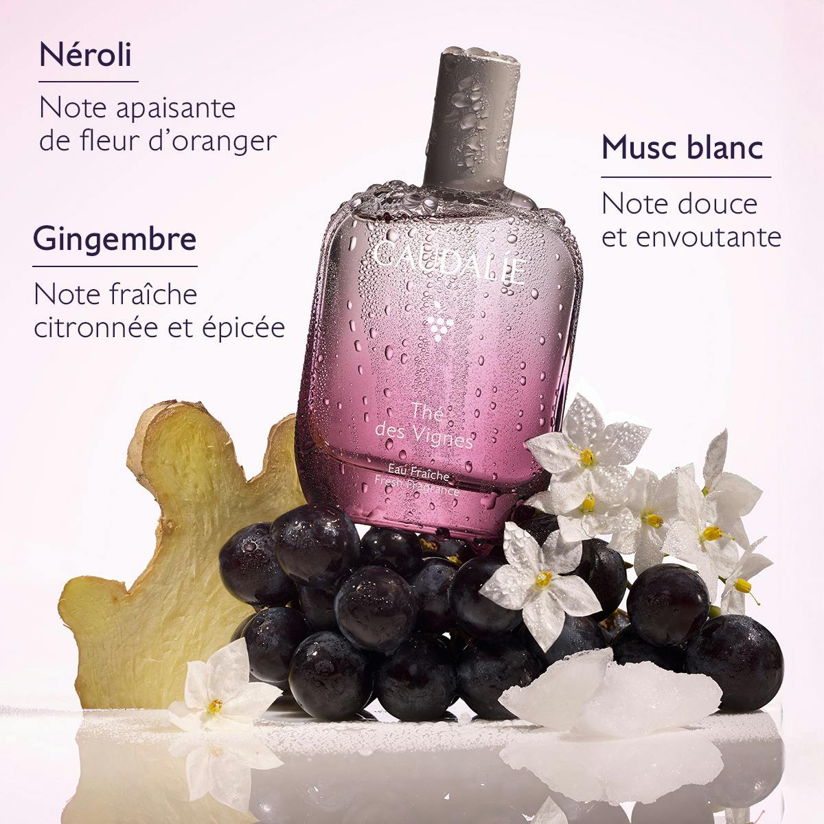 Caudalie Thé des Vignes, fragrance notes: neroli, ginger and white musk