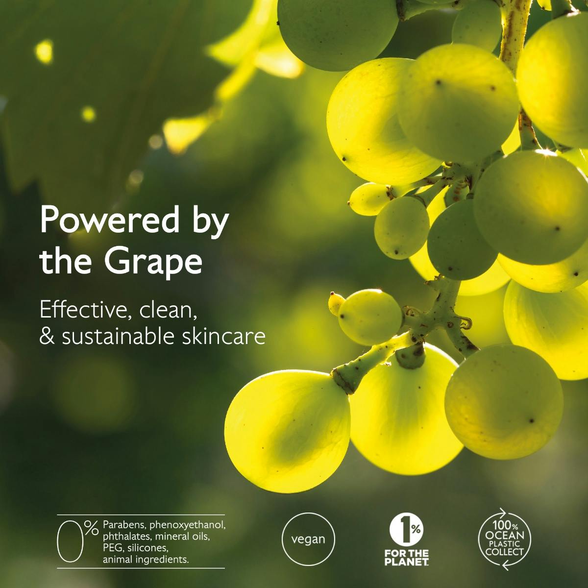 Caudalie Vinoperfect, white grapes on the vine