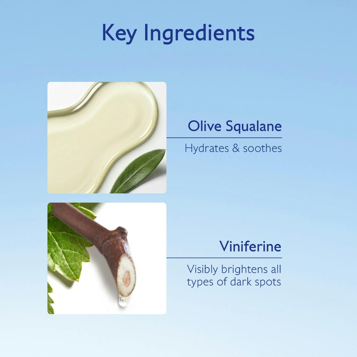 Caudalie Vinoperfect, key ingredients: olive squalane and viniferine