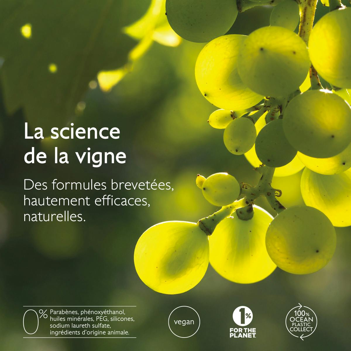 Caudalie Vinopure, white grapes on the vine with logos and labels
