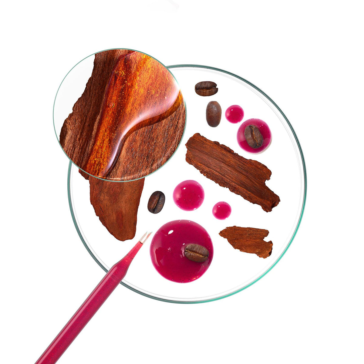 Klorane Fortifying Serum, quinine bark and coffee beans in a petri dish