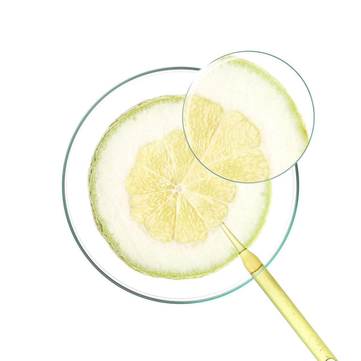Klorane Citron, citron slice in a petri dish