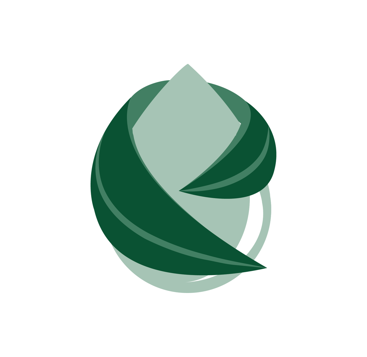 Klorane Aquatic Mint Dry Shampoo, green leaf and drop logo on a white background