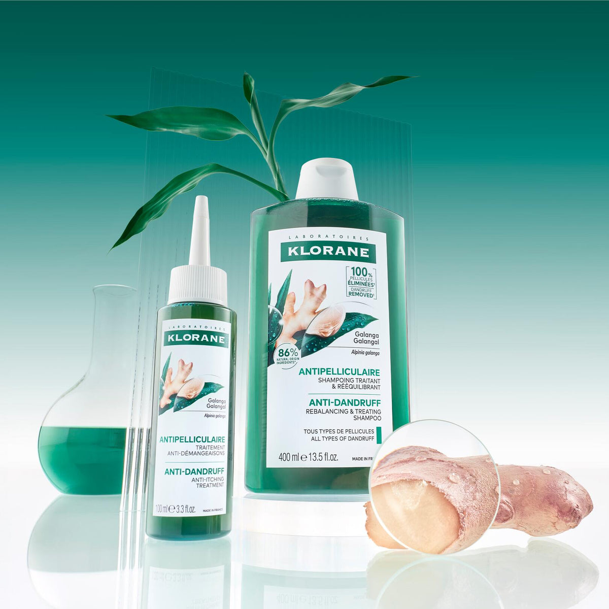 Klorane Galanga, shampoo and serum with galanga root on a green background