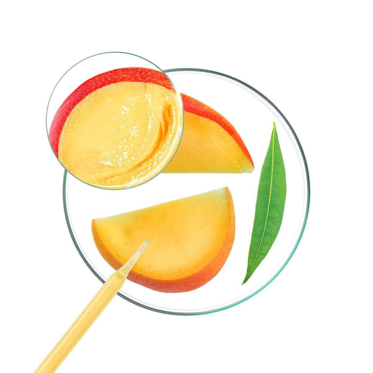 Klorane Mango, mango slices and butter in a petri dish