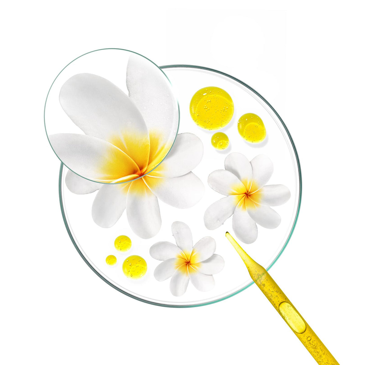 Klorane Tiaré, tiaré flowers and oil drops in a petri dish