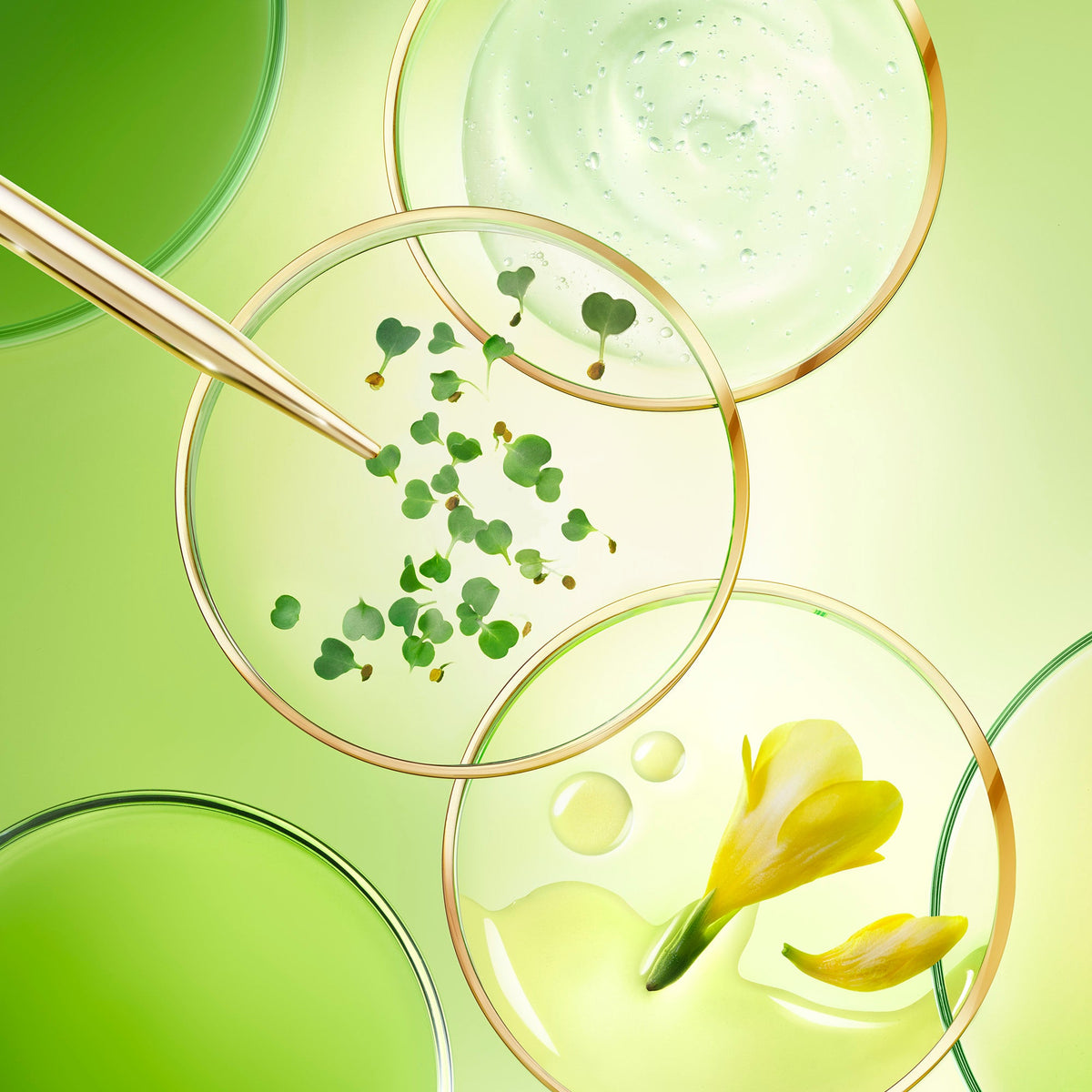 NUXE NUXURIANCE ULTRA, plant extracts in glass dishes with a pipette