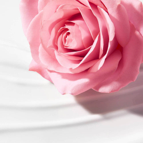 NUXE Very Rose Creamy Cleansing Milk for face and eyes, all skin types, product close-up