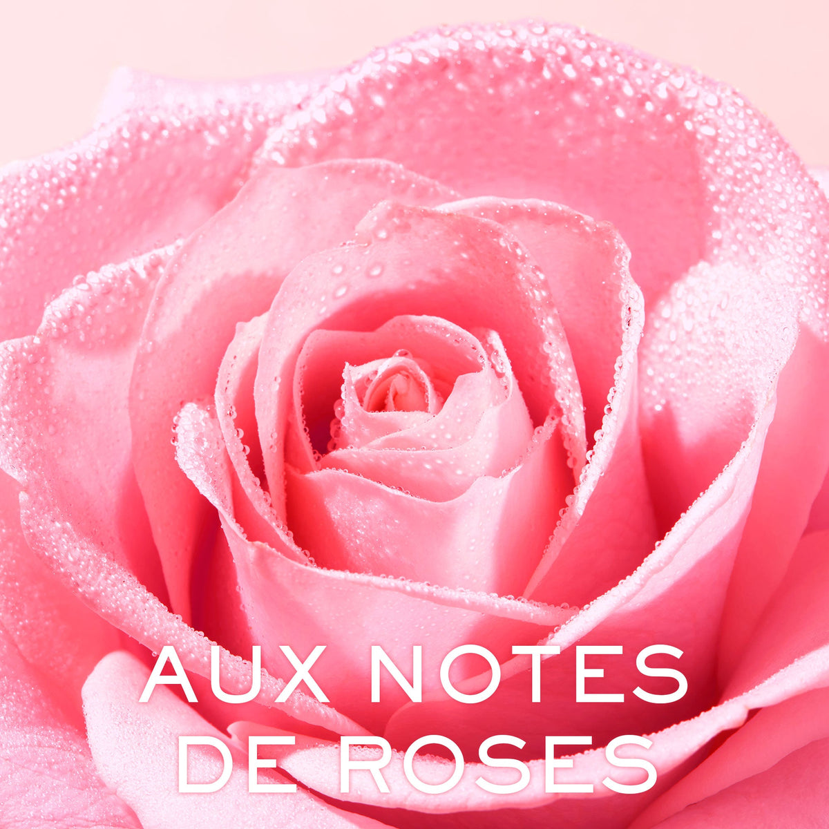 NUXE Very Rose, dewy pink rose, text in French